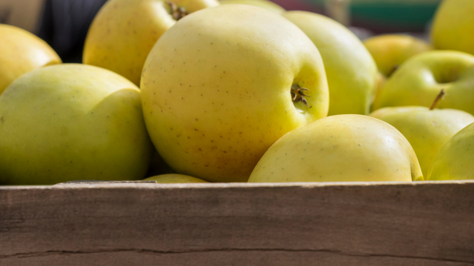 Golden-delicious mela golden delicious